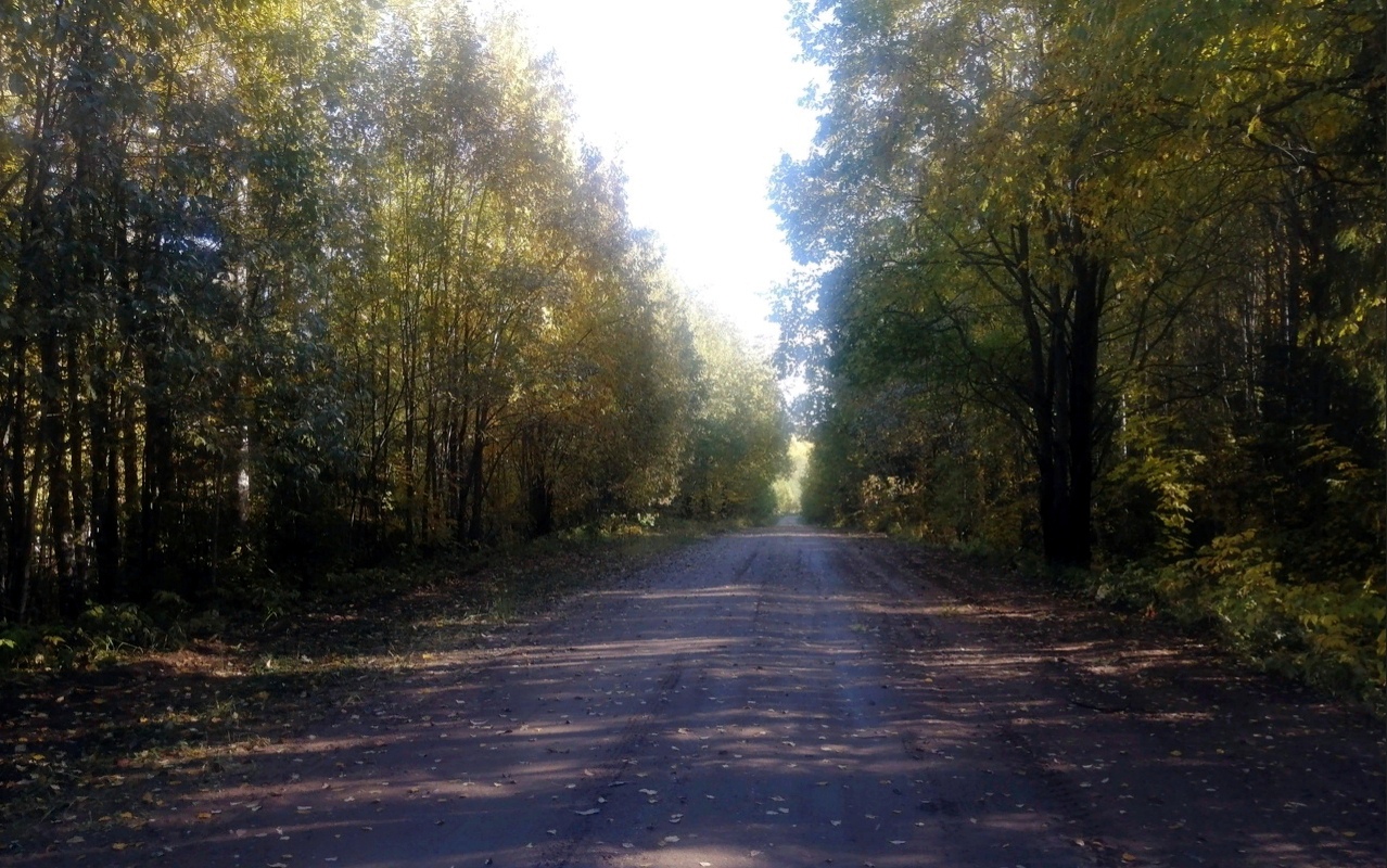 дорога к дер. Малой Малаговской.