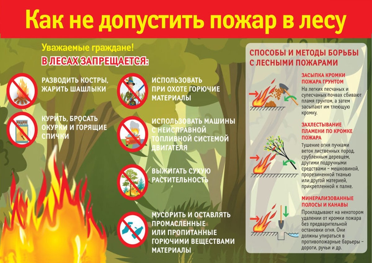 Берегите лес от огня!.
