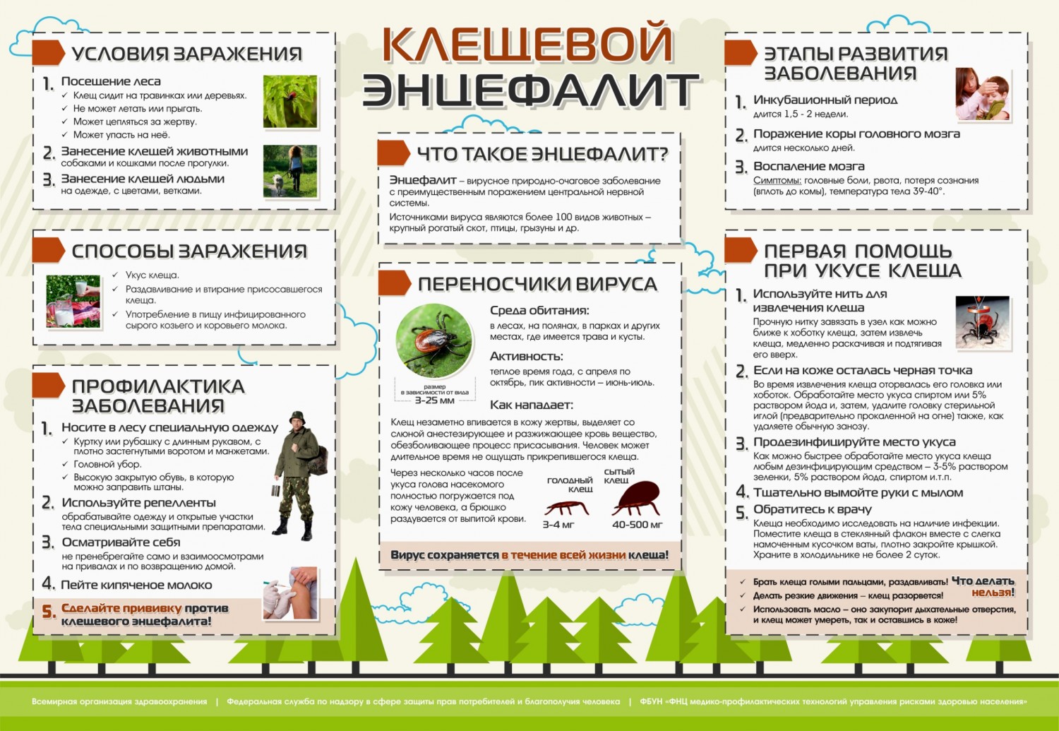 Начинается сезон активности клещей.