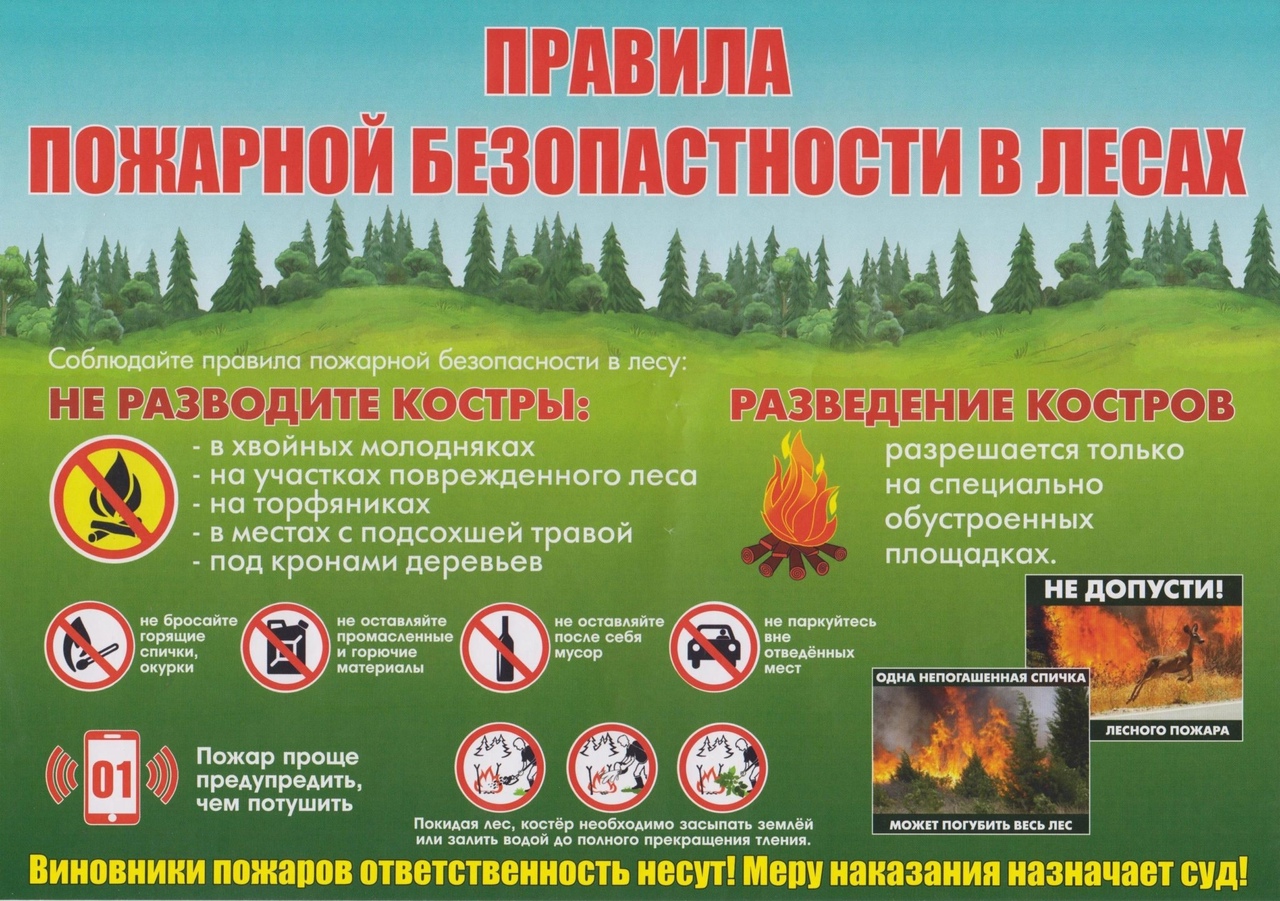 Берегите лес от огня!.