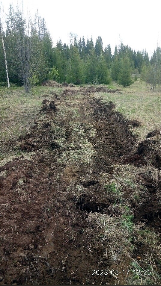 Опашка проведена!.