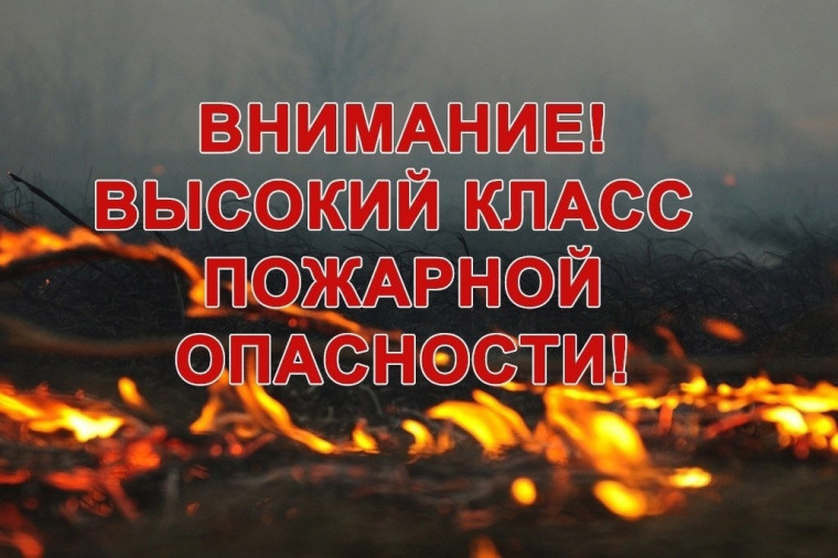 Берегите лес от пожара!. Берегите лес от пожара!.