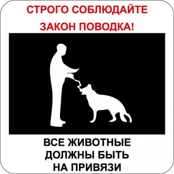 Владельцам собак на заметку!. Владельцам собак на заметку!.